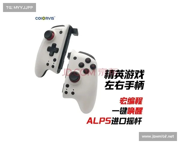 使用模拟手柄连接任天堂Switch的详细设置与优化指南 使用模拟手柄连接任天堂Switch的详细设置与优化指南